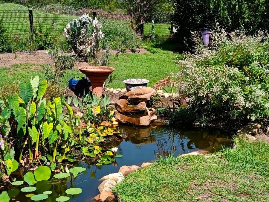3 Bedroom Property for Sale in Rexford Western Cape